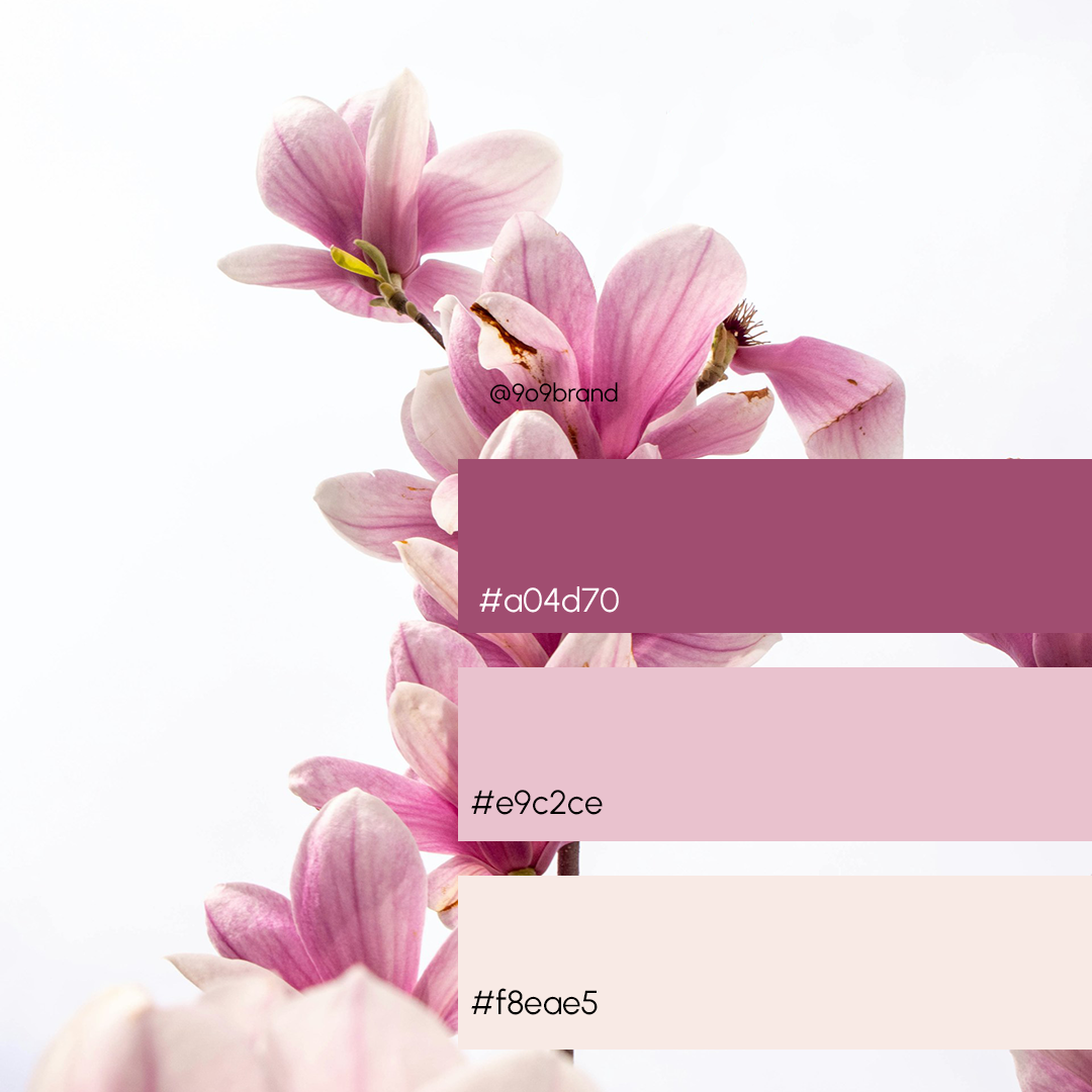 Color