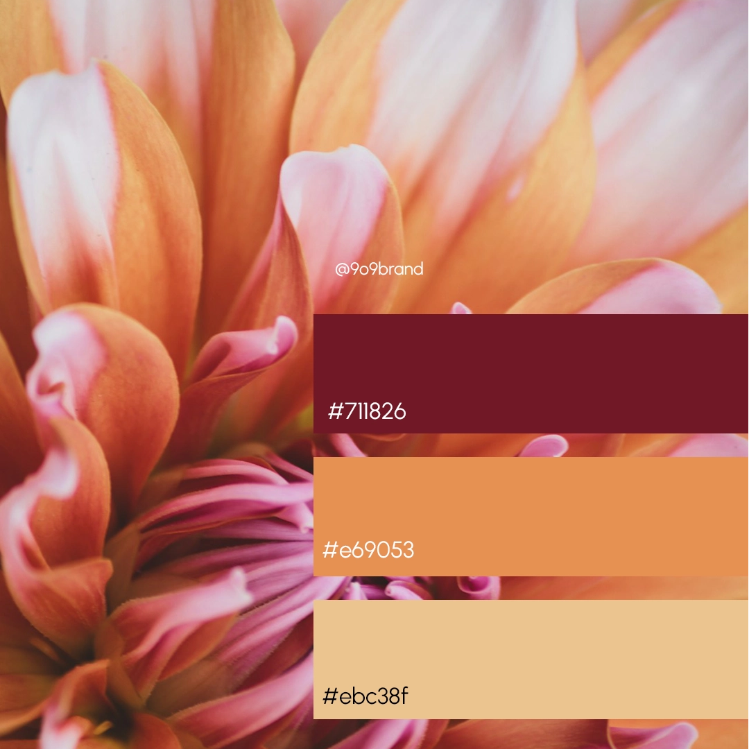 Color